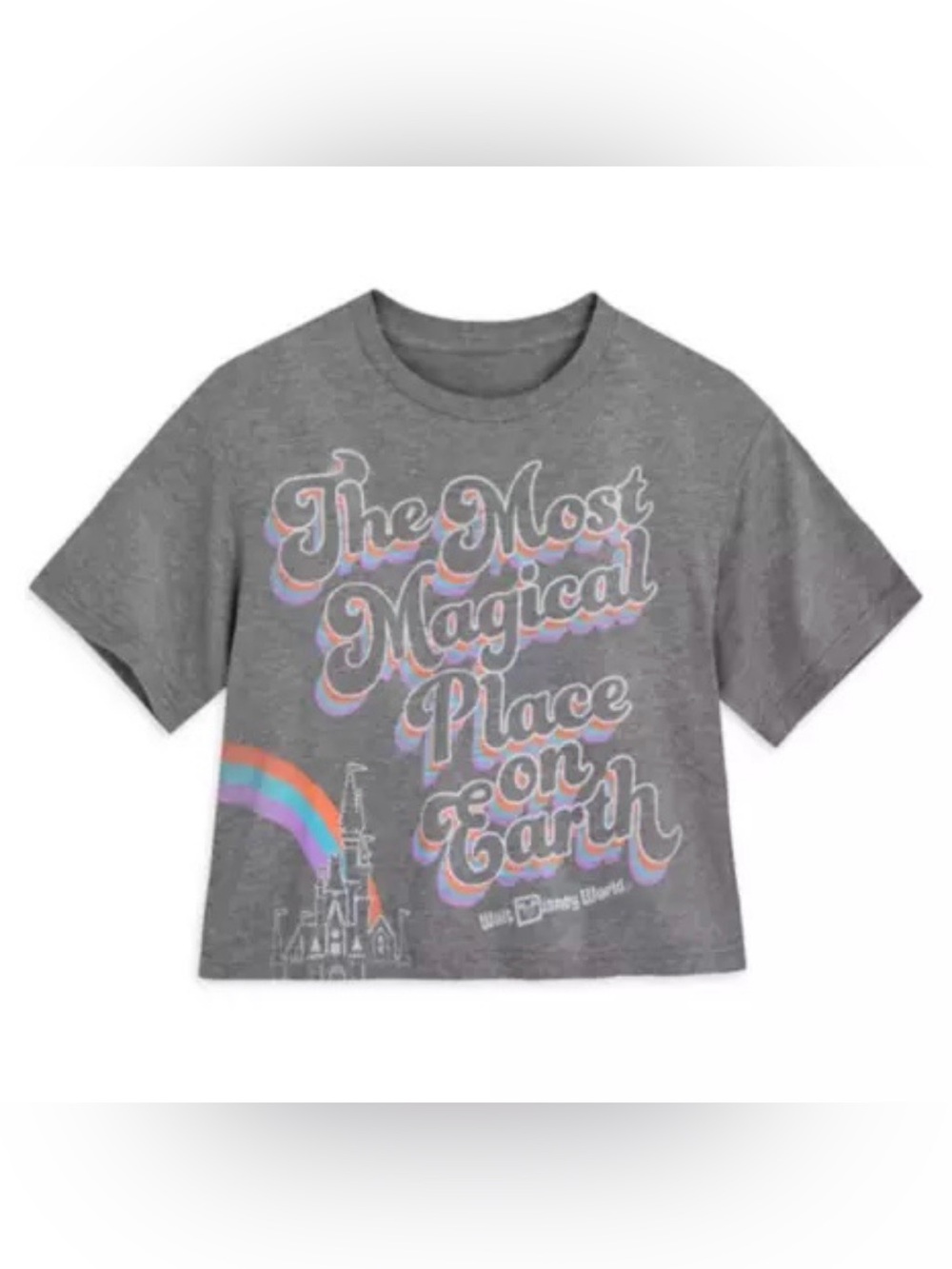Disney World Gray Crop Top Tee with Pastel Rainbow Retro